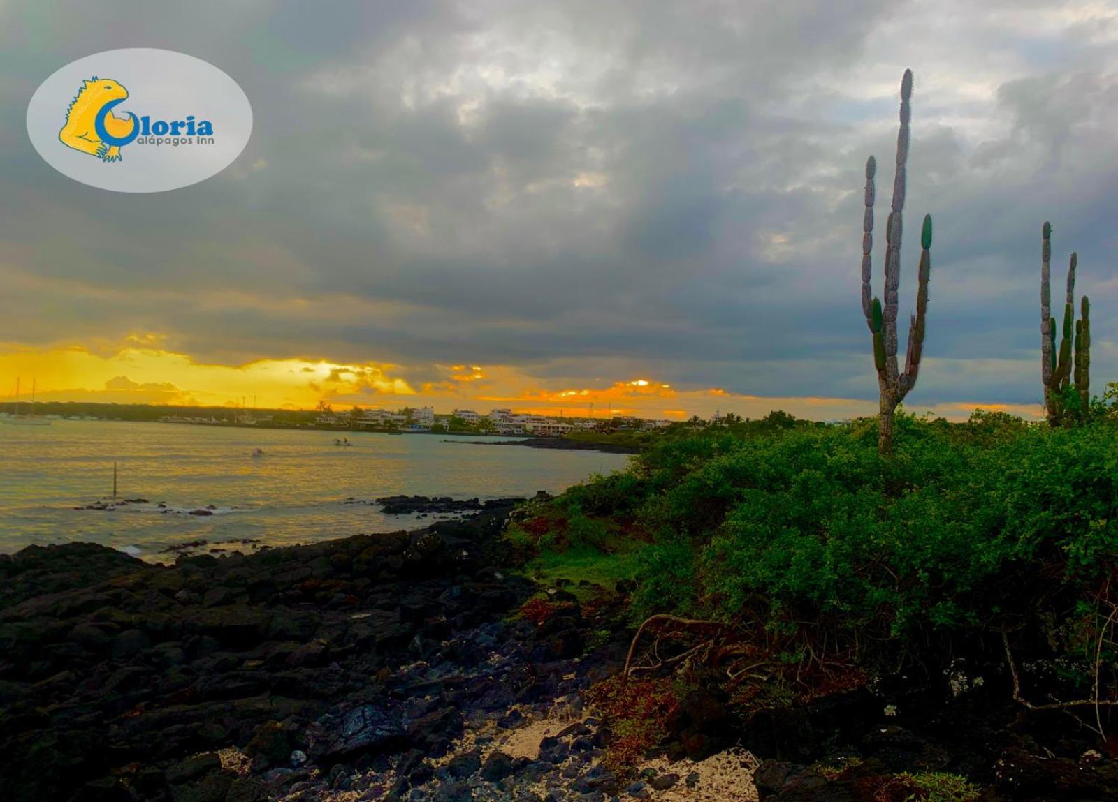 Gloria - Galapagos Inn Puerto Ayora  Eksteriør bilde