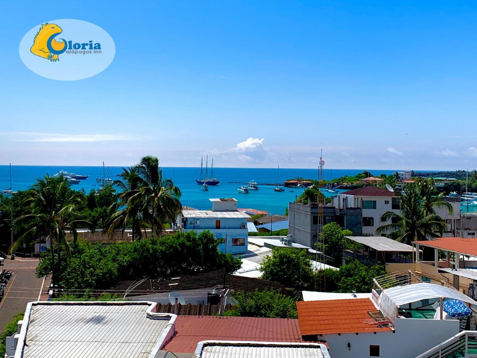 Gloria - Galapagos Inn Puerto Ayora  Eksteriør bilde